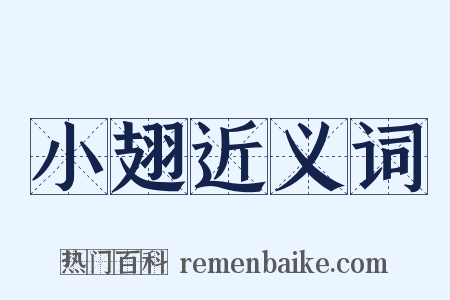 小翅近义词是什么意思的图片